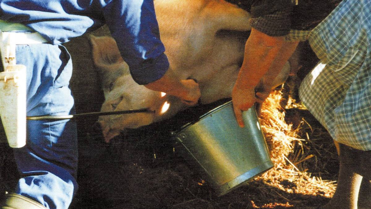 Kontatu genuen... 2005eko azaroan