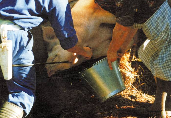 Kontatu genuen... 2005eko azaroan