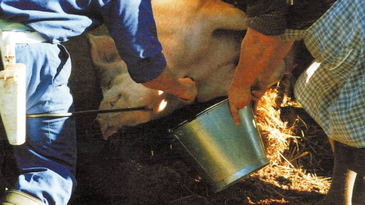 Kontatu genuen... 2005eko azaroan