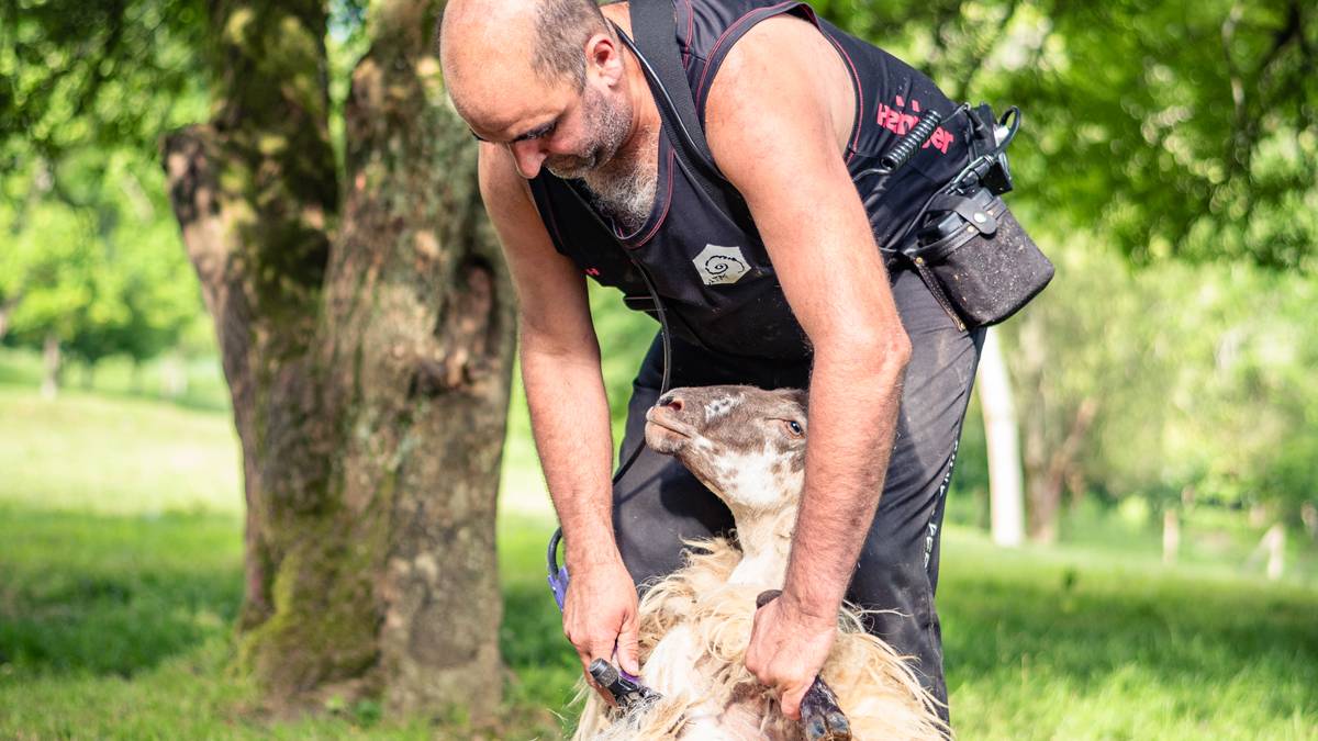 “Ardi Moztaileen Euskal Selekzioa erakusleiho  bat izan da,  ezagutzera eman du gure lana”