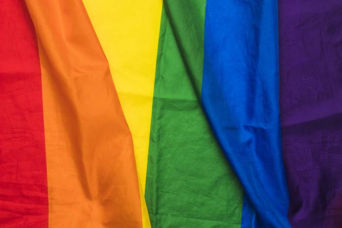 Adierazpen instituzionala egin du Lezamak LGTBI pertsonen alde