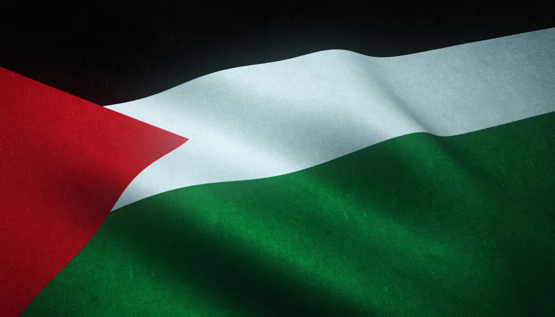 Palestinaren aldeko adierazpen instituzionala Larrabetzun