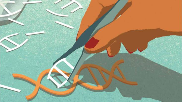 CRISPR, bioteknologia edonoren eskura