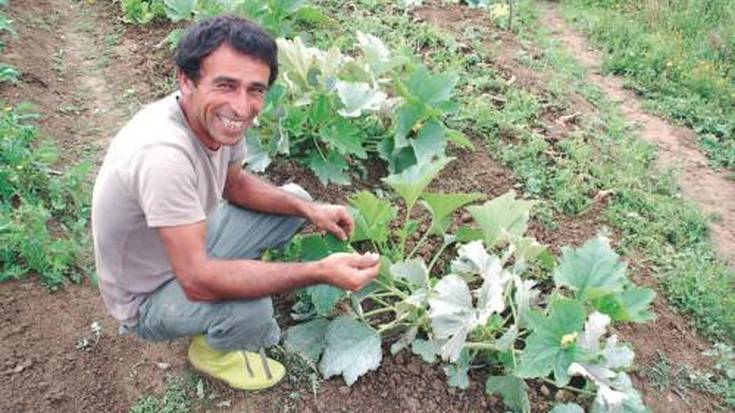 Orhan Yigit, turkiar irribartsua