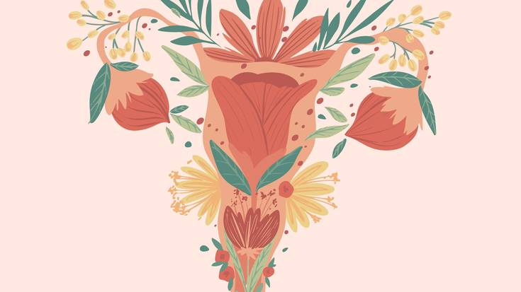 Ziklo obarikoa edo ziklo menstruala?