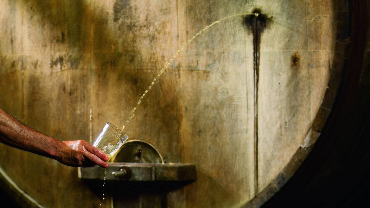 Martxoaren 7an sagardotegira irteera antolatu dute Sondikako Inauterietatik