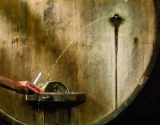 Martxoaren 7an sagardotegira irteera antolatu dute Sondikako Inauterietatik