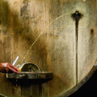 Jubilatuen sagardotegira irteera eta bazkaria